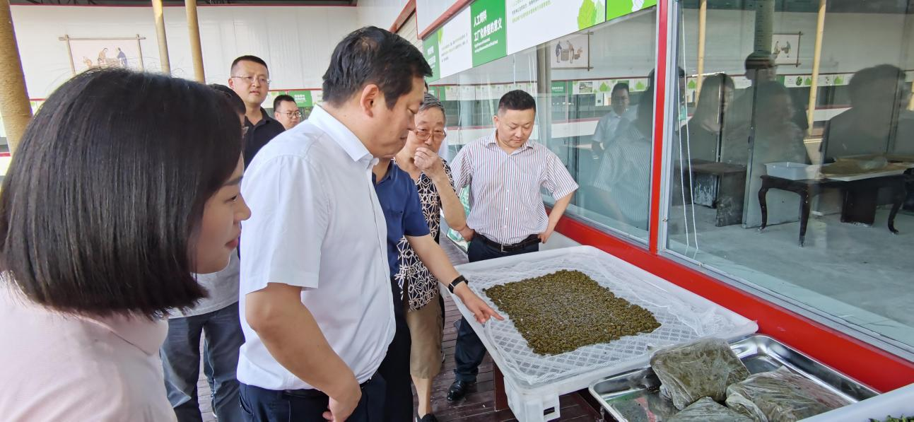 省J9直营集团集团党委副书记、董事陈日赴嘉陵区调研茶桑产业发展情况